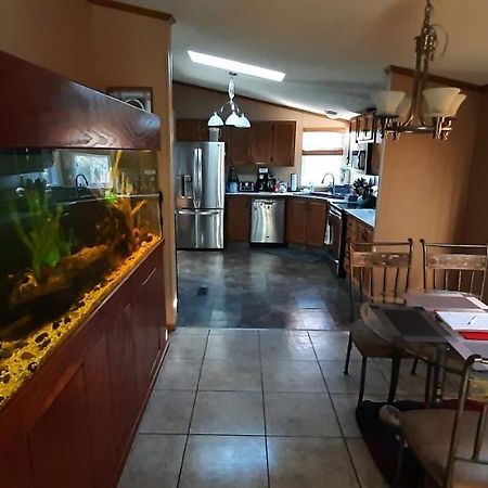 Private Pet Friendly Home Near Exotic Deer Farm Close To Pigeon Forge, Gatlinburg Tn Sevierville Zewnętrze zdjęcie