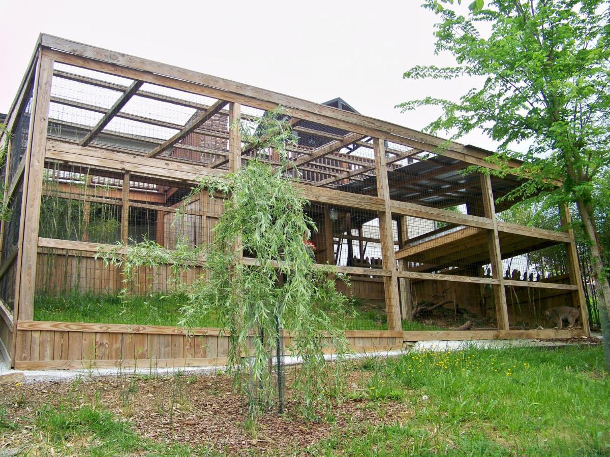 Private Pet Friendly Home Near Exotic Deer Farm Close To Pigeon Forge, Gatlinburg Tn Sevierville Zewnętrze zdjęcie